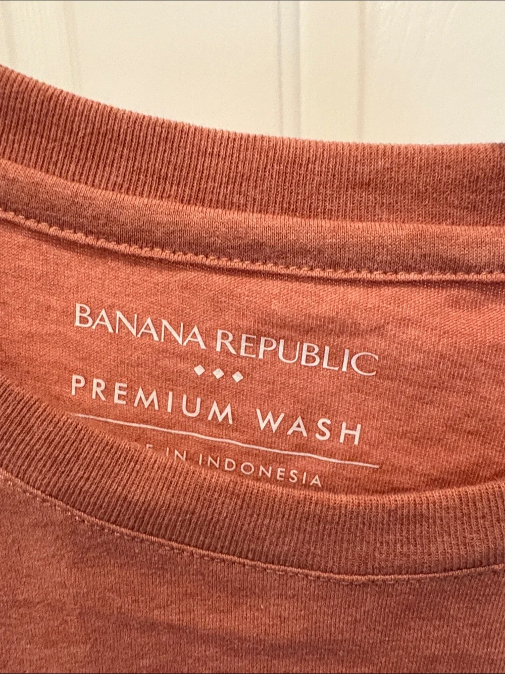 Banana Republic Premium Wash Tee — Burnt Sienna